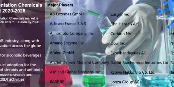 Global Fermentation Chemicals Market Analysis: 2020-2026