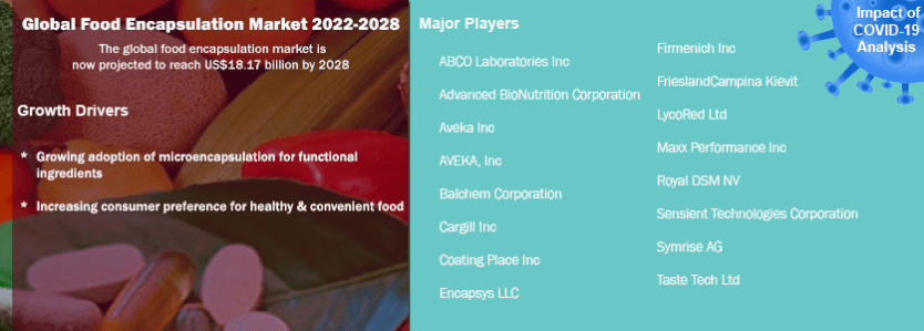 Global Food Encapsulation Market Analysis: 2022-2028